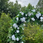 FA003 Leaves with white roses flower arch 6ft 7ft 8ft - Image 4