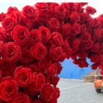 FA010 Red roses flower arch 6ft 7ft 8ft - Image 2