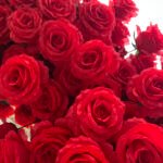 FA010 Red roses flower arch 6ft 7ft 8ft - Image 3