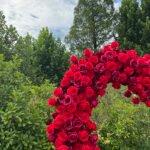 FA012 Red roses flower arch 6ft 7ft 8ft - Image 3