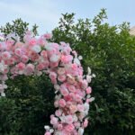 FA017 White roses flower arch 6ft 7ft 8ft - Image 2