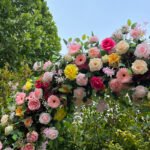 FA033 Colorful roses flower arch 6ft 7ft 8ft - Image 3