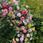 FA034 Colorful roses flower arch 6ft 7ft 8ft - Image 4