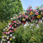 FA035 Colorful roses round flower arch 6ft 7ft 8ft - Image 4