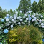 FA036 Roses with leaves flower arch 6ft 7ft 8ft - Image 2