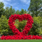 FA039 Red roses flower arch 6ft 7ft 8ft