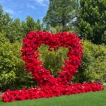 FA039 Red roses flower arch 6ft 7ft 8ft - Image 6