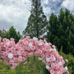 FA043 Pink roses flower arch 6ft 7ft 8ft - Image 3