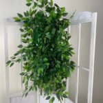 FB1034 Plant backdrops for decoration