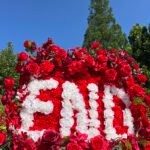 FB1009 Red roses flower backdrops set for car decoration - Image 2