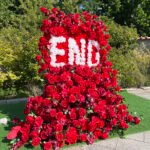 FB1009 Red roses flower backdrops set for car decoration - Image 6