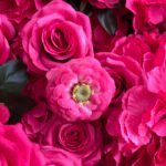 FW006 hot pink flower wall backdrop 8x8ft cloth fabric backup - Image 6