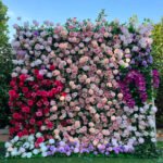 FW009 Ombre pink roses flower wall backdrop 8x8ft cloth fabric backup