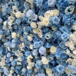 FW010 Blue and white roses flower wall backdrop 8x8ft cloth fabric backup - Image 2
