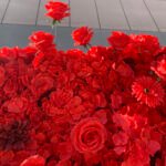 FW011 Red roses flower wall backdrop 8x8ft cloth fabric backup - Image 2