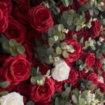 FW012 Red white ombre roses flower wall backdrop 8x8ft cloth fabric backup - Image 2