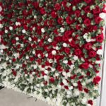 FW012 Red white ombre roses flower wall backdrop 8x8ft cloth fabric backup - Image 4