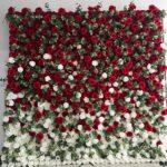 FW012 Red white ombre roses flower wall backdrop 8x8ft cloth fabric backup