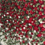 FW012 Red white ombre roses flower wall backdrop 8x8ft cloth fabric backup - Image 6