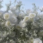 FW013 White rose and gyp flower wall backdrop 8x8ft cloth fabric backup - Image 4