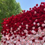 FW014 Red pink white roses ombre flower wall backdrop 8x8ft cloth fabric backup - Image 5