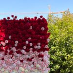 FW014 Red pink white roses ombre flower wall backdrop 8x8ft cloth fabric backup - Image 7