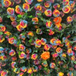 FW016 Colorful roses with leaves flower wall backdrop 8x8ft cloth fabric backup - Image 3