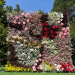 FW017 Colorful roses with gyp flower wall backdrop 8x8ft cloth fabric backup