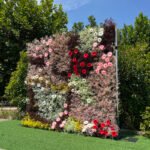 FW017 Colorful roses with gyp flower wall backdrop 8x8ft cloth fabric backup - Image 4