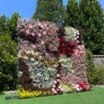 FW017 Colorful roses with gyp flower wall backdrop 8x8ft cloth fabric backup - Image 5