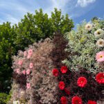 FW017 Colorful roses with gyp flower wall backdrop 8x8ft cloth fabric backup - Image 2