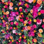 FW021 hot pink and orange rose orchid with leaves flower wall backdrop 8x8ft cloth fabric backup - Image 3
