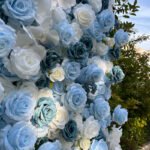 FW022 Blue and white roses flower wall backdrop 8x8ft cloth fabric backup - Image 4