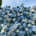 FW022 Blue and white roses flower wall backdrop 8x8ft cloth fabric backup - Image 5