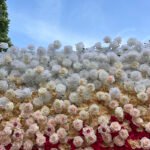 FW023 White and red roses ombre flower wall backdrop 8x8ft cloth fabric backup - Image 4