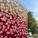 FW023 White and red roses ombre flower wall backdrop 8x8ft cloth fabric backup - Image 2