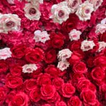 FW023 White and red roses ombre flower wall backdrop 8x8ft cloth fabric backup - Image 3