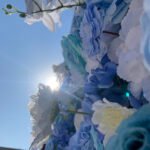 FW029 Sky blue roses flower wall backdrop 8x8ft cloth fabric backup - Image 5