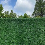 FW030 Grass wall backdrop 8x8ft cloth fabric backup - Image 6