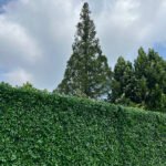 FW030 Grass wall backdrop 8x8ft cloth fabric backup - Image 5