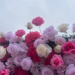 FW034 Pink mix hot pink roses flower wall backdrop 8x8ft cloth fabric backup - Image 3