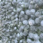 FW035 White roses flower wall backdrop 8x8ft cloth fabric backup - Image 2