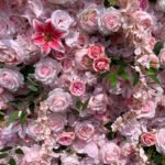 FW040 Pink flowers flower wall backdrop 8x8ft cloth fabric backup - Image 2