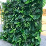 FW042 Tropical plant wall flower wall backdrop 8x8ft cloth fabric backup - Image 5