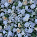 FW043 White roses with leaves flower wall backdrop 8x8ft cloth fabric backup - Image 2