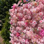 FW044 Pink roses flower wall backdrop 8x8ft cloth fabric backup - Image 6
