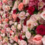 FW049 Coral roses flower wall backdrop 8x8ft cloth fabric backup - Image 2