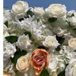 FW051 White rose peony flower wall backdrop 8x8ft cloth fabric backup - Image 5