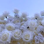 FW053 White rose gyp flower wall backdrop 8x8ft cloth fabric backup - Image 5