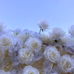 FW053 White rose gyp flower wall backdrop 8x8ft cloth fabric backup - Image 6